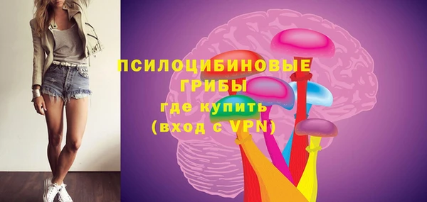 метадон Липки