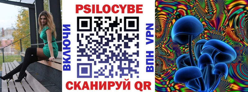 купить закладку  Алейск  Псилоцибиновые грибы Psilocybine cubensis 