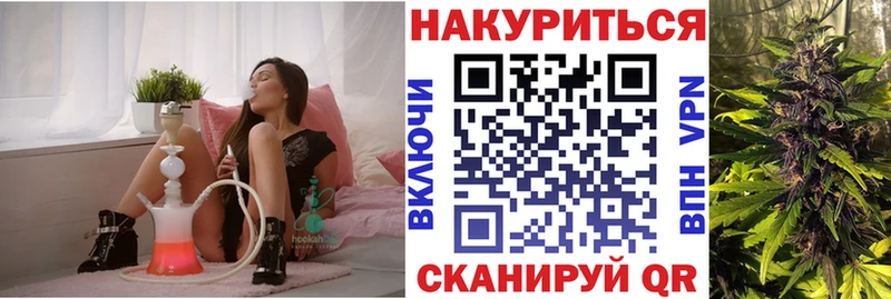 Бошки Шишки MAZAR  Алейск 
